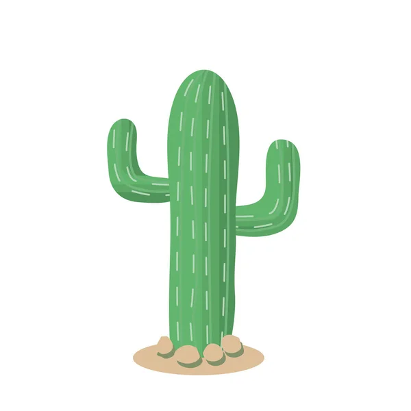 Cactus Style Dessin Animé Cactus Vert Sur Fond Blanc — Image vectorielle