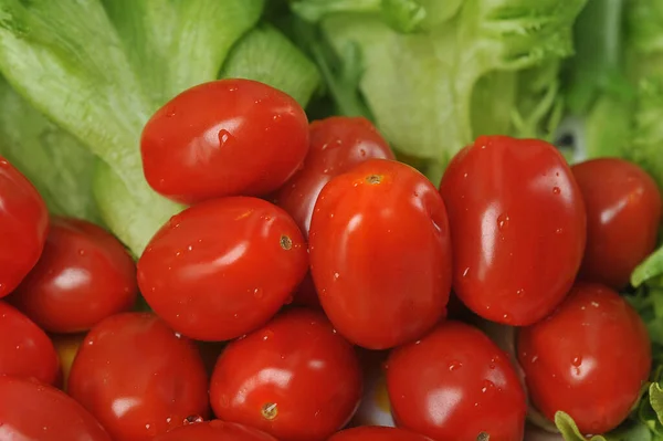 Pomidory Wiśniowe Liśćmi Sałaty Sałatka Witaminowa — Zdjęcie stockowe