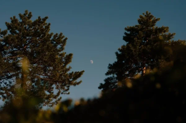Місяць на заході сонця — стокове фото