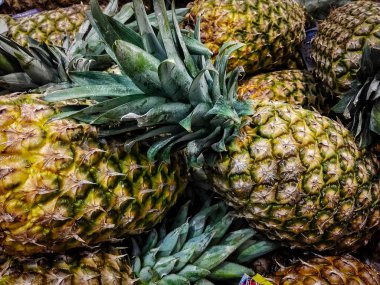 Yerel mağazada satılık ananas meyvesi