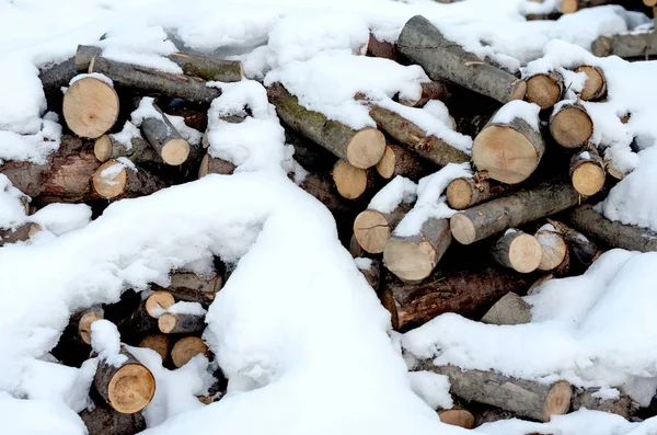 Hromada tvrdého dřeva a polen z měkkého dřeva pořezaných a pokrytých sněhem a mrazem — Stock fotografie