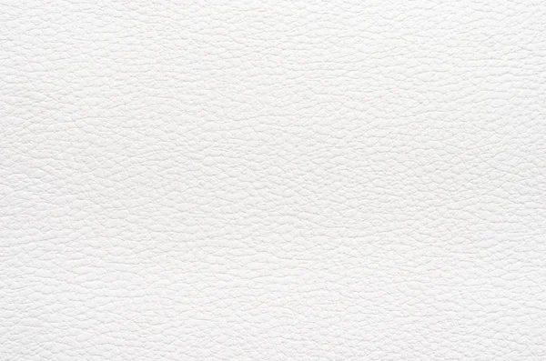 Doğal beyaz deri arka plan yakın plan. Üst görünüm, alanı kopyala .