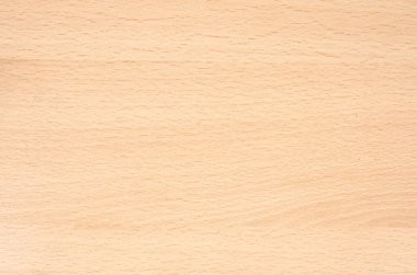 Kayın liflerinin yakın plan çekimi. Ağaç desenli parke .