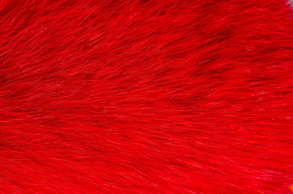 Red fur Stock Photos, Royalty Free Red fur Images