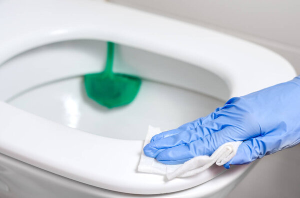 Maid with surgical gloves cleaning toilet bowl with disinfectant wet wipes. Bacteria  and  coronavirus  spreading  prevention .
