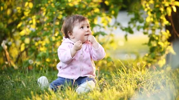 Malá pěkně děvčátko sedící na zelené trávě v parku na sunsat. — Stock video
