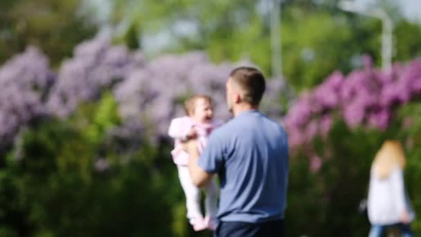 Glücklicher Vater hält kleines Baby-Mädchen in den Armen und spielt zusammen im Park. — Stockvideo