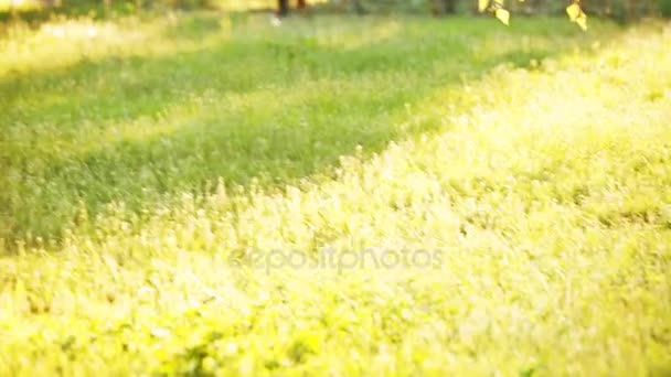 快乐的小女孩，在骑自行车在城市公园的绿色草地上户外. — 图库视频影像