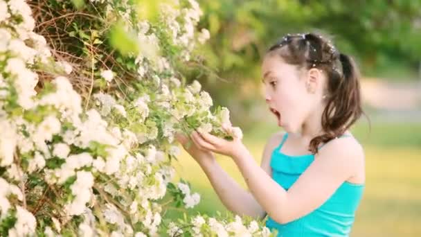 Close-up of little girl enjoys the smell of flowers in the meadow in summer. — Stock Video