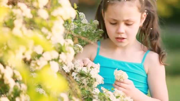 Zbliżenie: mała dziewczynka cieszy się zapach kwiatów na łące w lecie. — Wideo stockowe