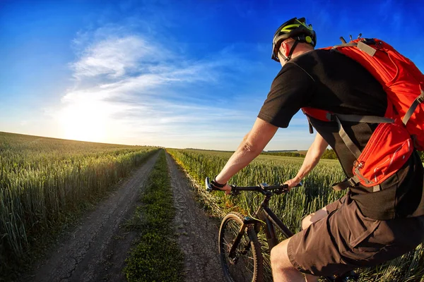 Pohled zezadu na cyklista jízdní horské kolo na stezce proti krásné nebe. — Stock fotografie