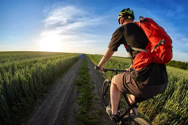 Rückansicht und Nahaufnahme des Radfahrers mit dem Mountainbike auf dem Sommerweg. — Stockfoto
