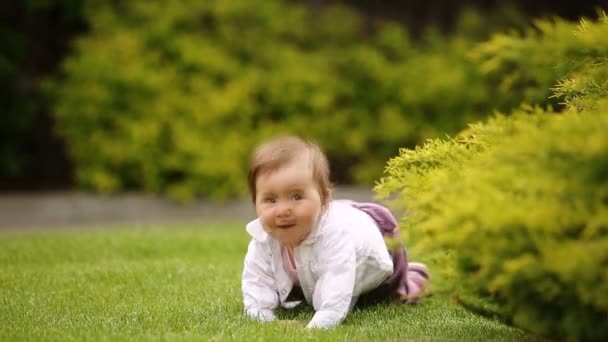 Una niña alegre está sentada en la hierba verde cerca del arbusto en el parque de la ciudad . — Vídeos de Stock