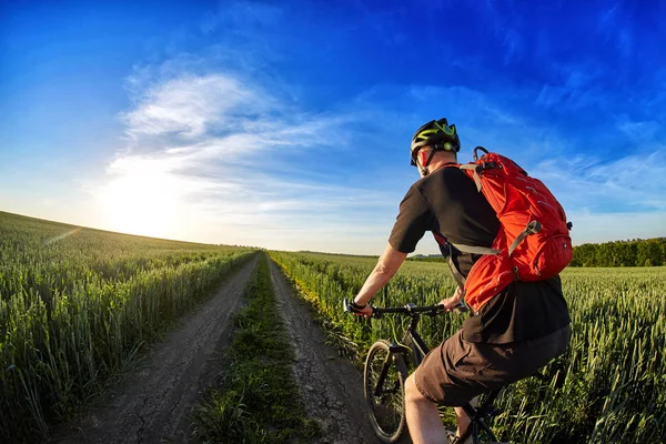 Widok z tyłu rowerzysta jazda mountain Bike na szlaku przed piękne niebo. — Zdjęcie stockowe
