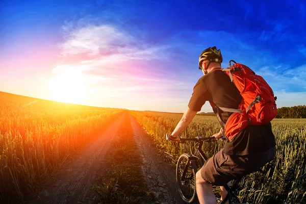 Οπίσθια όψη του ποδηλάτου βουνού ποδηλάτης ιππασίας στο μονοπάτι ενάντια όμορφο ουρανό. — Φωτογραφία Αρχείου