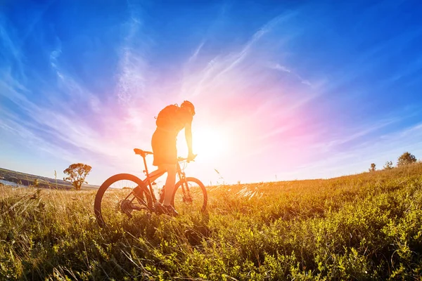 Ângulo largo do ciclista com ciclista de montanha contra bela paisagem . — Fotografia de Stock