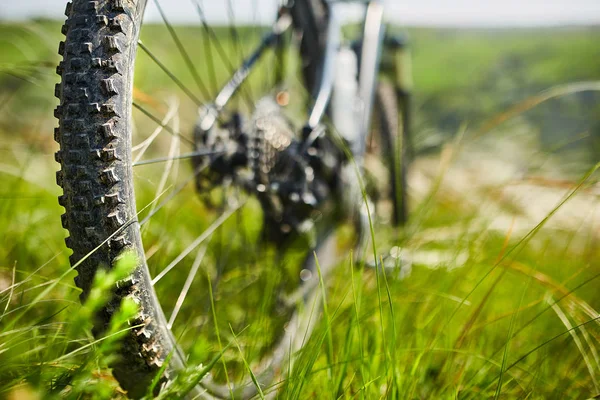 Primer plano de la rueda de bicicleta de montaña en la hierba verde en el prado en el campo . — Foto de Stock