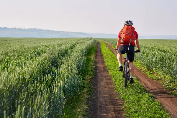 Pohled zezadu na mladého cyklistu jedoucího mountainbike na stopě krásné letní pole. — Stock fotografie
