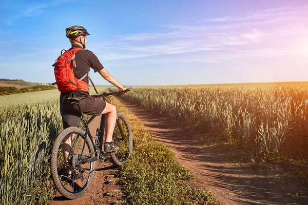 Ελκυστική ένας ποδηλάτης σε mountainbike σε μονοπάτι κοντά σε πράσινο πεδία στην εξοχή το καλοκαίρι. — Φωτογραφία Αρχείου