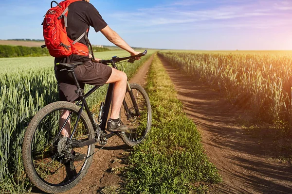 Atraktivní jednoho cyklisty na horských kolech na cestě u zelených polí na venkově v letní sezóně. — Stock fotografie