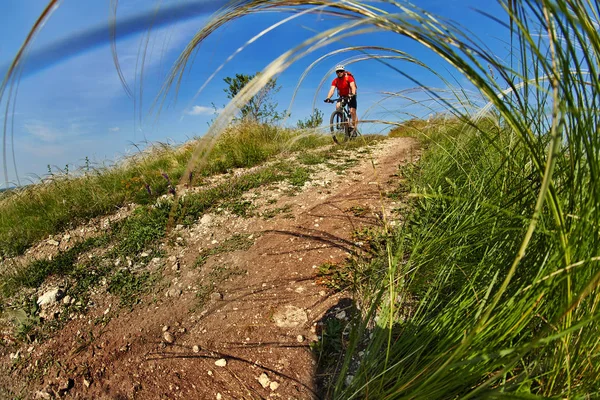 Jovem ciclista montando bicicleta de montanha através do prado verde contra o céu bonito . — Fotografia de Stock