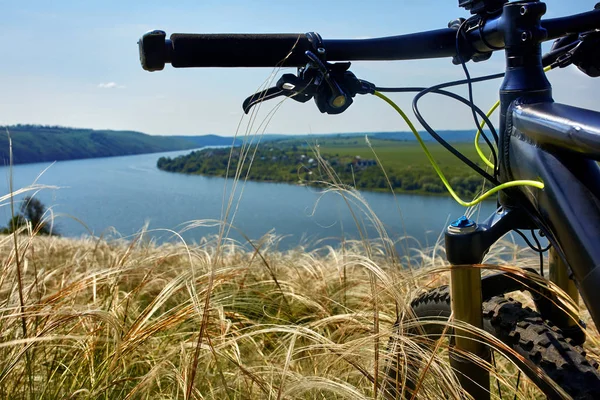 Yakın çekim yeşil çimenlerin üzerinde dağ Bisiklet ayrıntı.