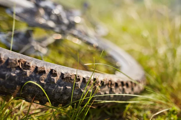 여름 녹색 잔디 풀밭 필드에서 자전거 바퀴. — 스톡 사진