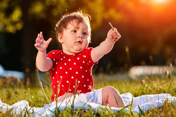 Bebé niña en verano vestido sentado en el campo — Foto de Stock