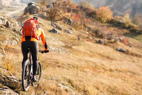 Ciclista con una mochila en bicicleta de montaña vista trasera — Foto de Stock