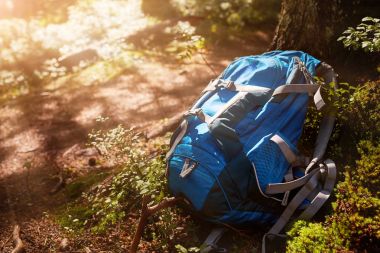 Yaşam tarzı modern hiking ormanda açık sırt çantası. Kaya ve ağaç ormandaki seyahat için mavi sırt çantası.