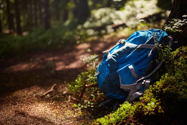 Életmód túrázás az erdőben kültéri modern hátizsák. Kék hátizsák utazik a rock- és fa az erdő. — Stock Fotó