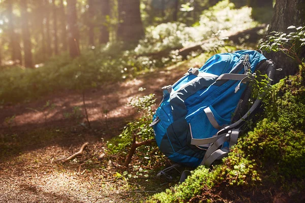 Levensstijl moderne rugzak buiten in het bos wandelen. Blauwe rugzak voor reizen op de rots en boom in het bos. — Stockfoto