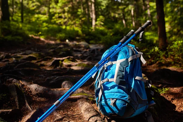 Подорожі рюкзак на дерев'яній лавці в лісі. Відкриті блукаючі предмети. Подорожі, туризм та кемпінгове обладнання . — стокове фото