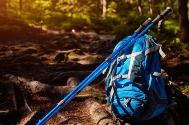 Yaz orman turist sırt çantası