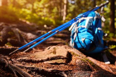 Yaz orman turist sırt çantası