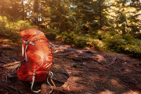 Toeristische rugzak op de zomer bos — Stockfoto