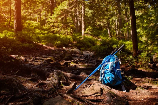 Toeristische rugzak op de zomer bos — Stockfoto