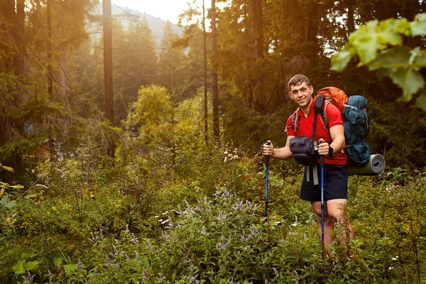 Aktiv frisk man vandring i vacker skog — Stockfoto