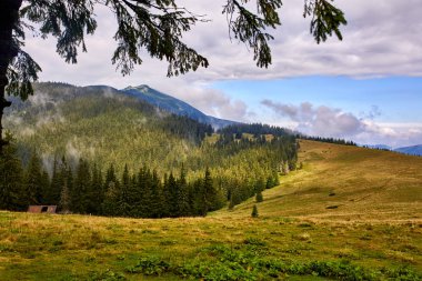 Güzel sahne Karpat Dağları'nda. Ormanlık hill adlı bahar çerçeve ile bulutlu günde.