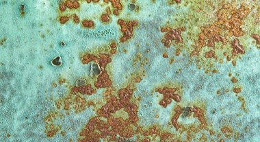 Son derece detaylı zor grunge doku arka plan, makro, yakın çekim