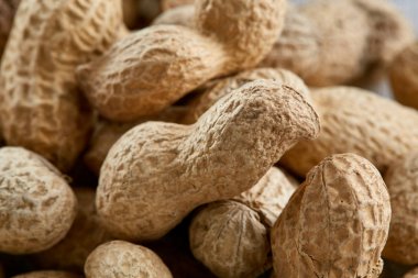 Fıstık kabukları gıda arka plan, yakın çekim, sığ derinlik-in tarla, makro.