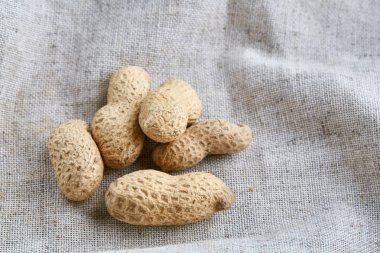 Fıstık ışık masa örtüsü, yakın çekim, sığ derinliği alan, seçici odak, makro yığını