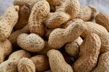 Fıstık ışık masa örtüsü, yakın çekim, sığ derinliği alan, seçici odak, makro yığını