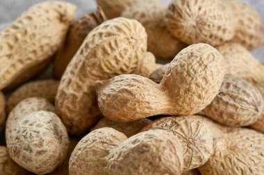 Fıstık ışık masa örtüsü, yakın çekim, sığ derinliği alan, seçici odak, makro yığını