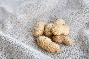 Fıstık ışık masa örtüsü, yakın çekim, sığ derinliği alan, seçici odak, makro yığını