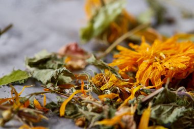 Motley çimen ışık dokulu arka plan, yakın çekim, alan, seçici odak, makro sığ derinliği