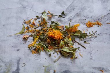 Motley çimen ışık dokulu arka plan, yakın çekim, alan, seçici odak, makro sığ derinliği