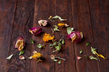 Çeşitli yaprakları izole ahşap arka plan, üstten görünüm, yakın çekim, seçici odak kümesi