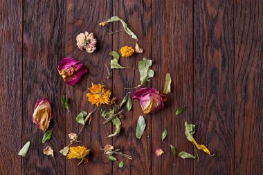 Çeşitli yaprakları izole ahşap arka plan, üstten görünüm, yakın çekim, seçici odak kümesi