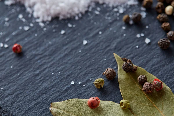 Composition of bay laurel leaf with peppercorn and salt isolated on dark background, top view, close-up, selective focus